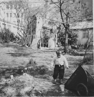 Bodo Franz im Garten mit Ruine und Wellblechgarage